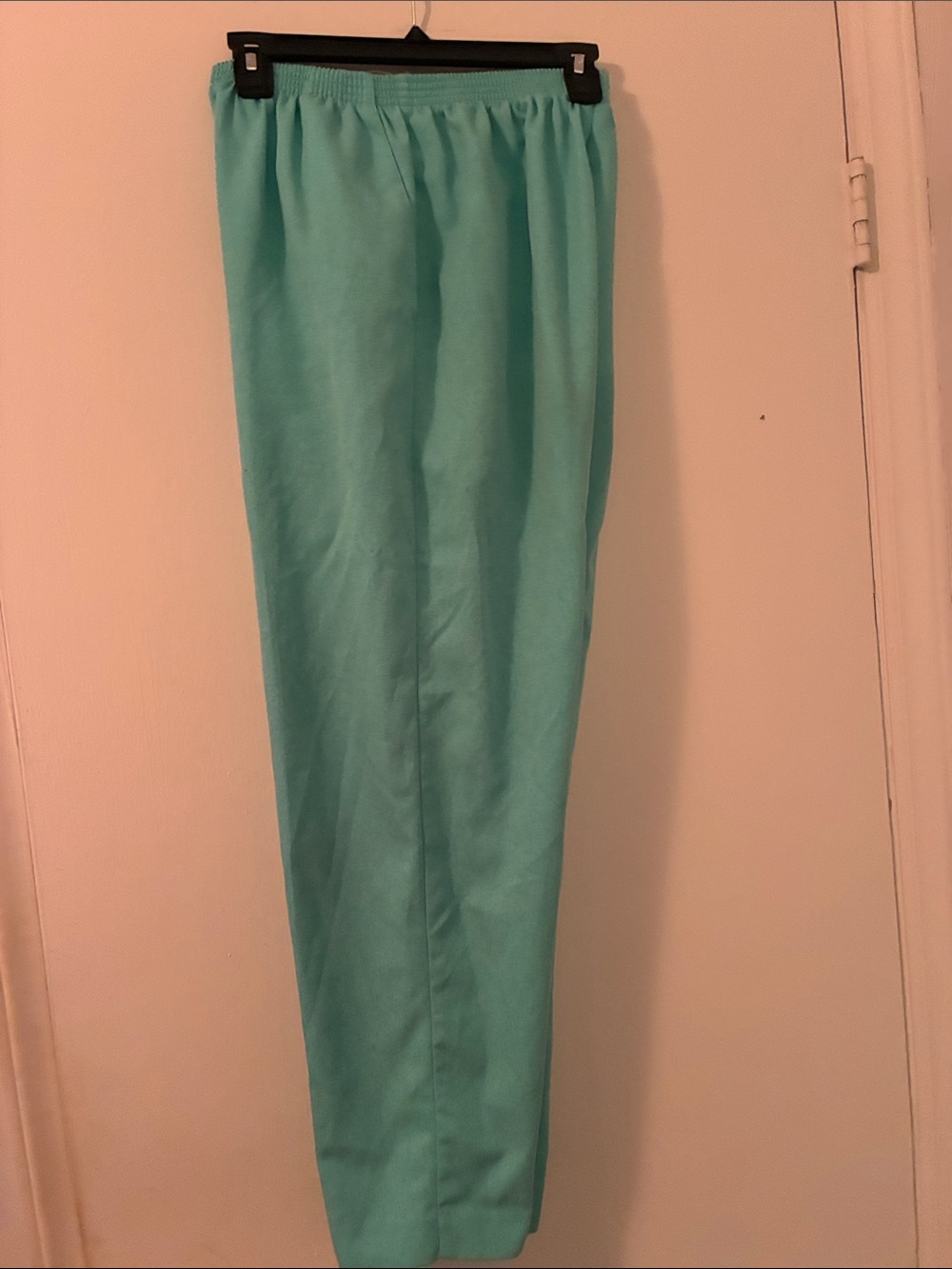 Alfred Dunner Straight Leg Pants in Aqua